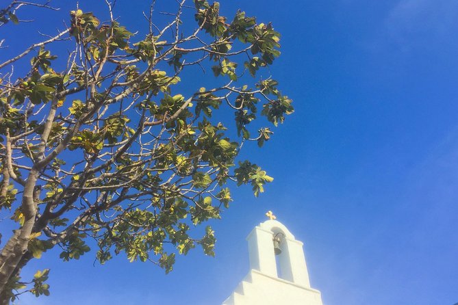 Discover Lefkes: Traditional Greek Village Paros VIP Experience - Why Lefkes makes a good walking stop