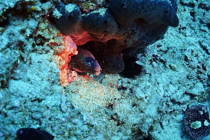 Discover Scuba Diving Private Fun Activity in Athens - The briefing that makes beginners comfortable