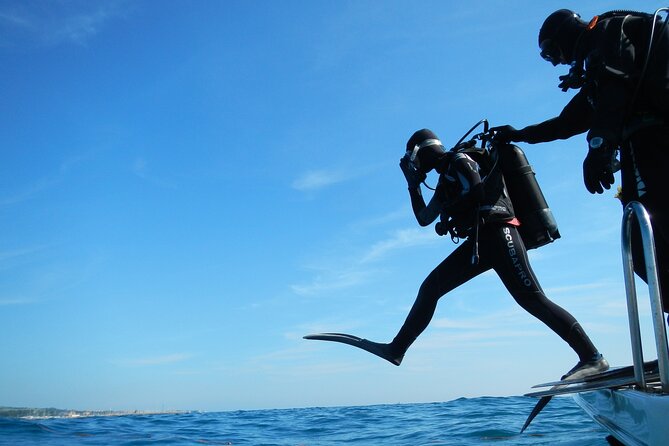 Discover Scuba Diving Private Fun Activity in Athens - Who should book this Athens activity