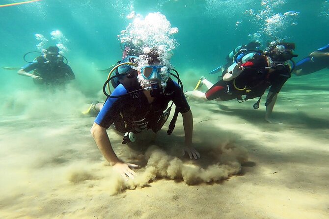 Discover Small Group Scuba Diving Experience in Nea Makri, Athens - Key points to know before you book