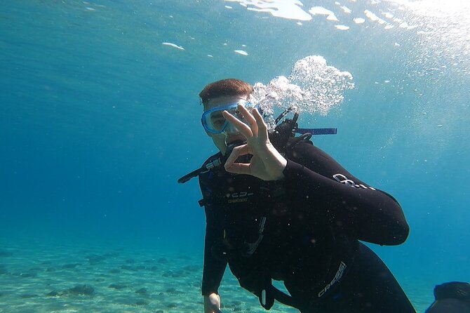 Discover Small Group Scuba Diving Experience in Nea Makri, Athens - The instructors are the main reason to book