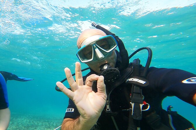Discover Small Group Scuba Diving Experience in Nea Makri, Athens - Meeting Dimitris and learning the basics