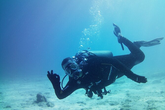 Double Shore Dive (certified divers) - Trading central Athens for the Piraeus coast