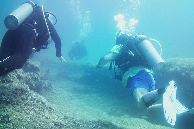 Double Shore Dive (certified divers) - Is $243.10 a fair price?