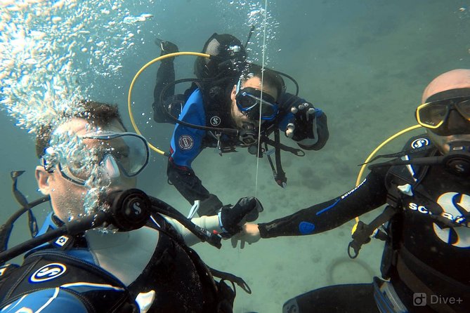 Double Shore Dive (certified divers) - The 35-minute question