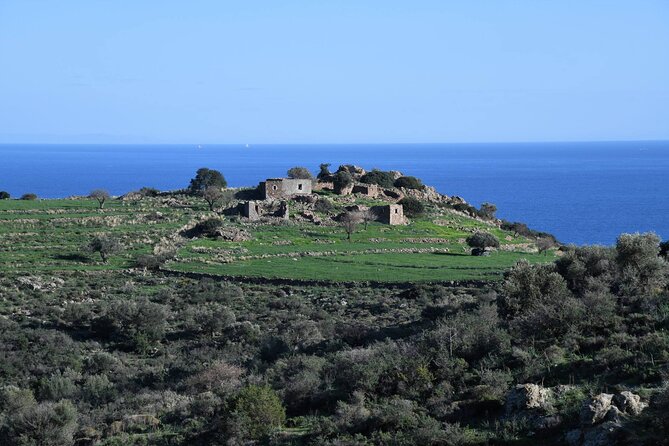 From Athens: Aegina Island E-bike & Walking Day Tour - Temple of Aphaia and the islands ancient past