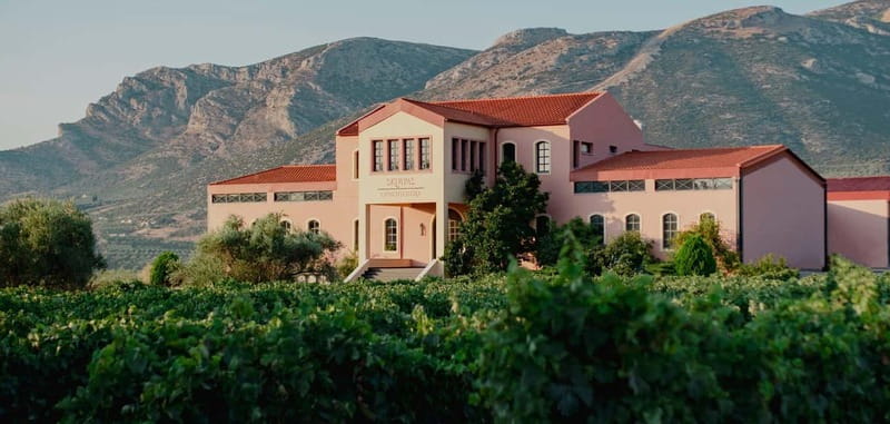 From Athens: Ancient Sparta and Nemea Wine Country Day Trip - The museum visit and what it adds
