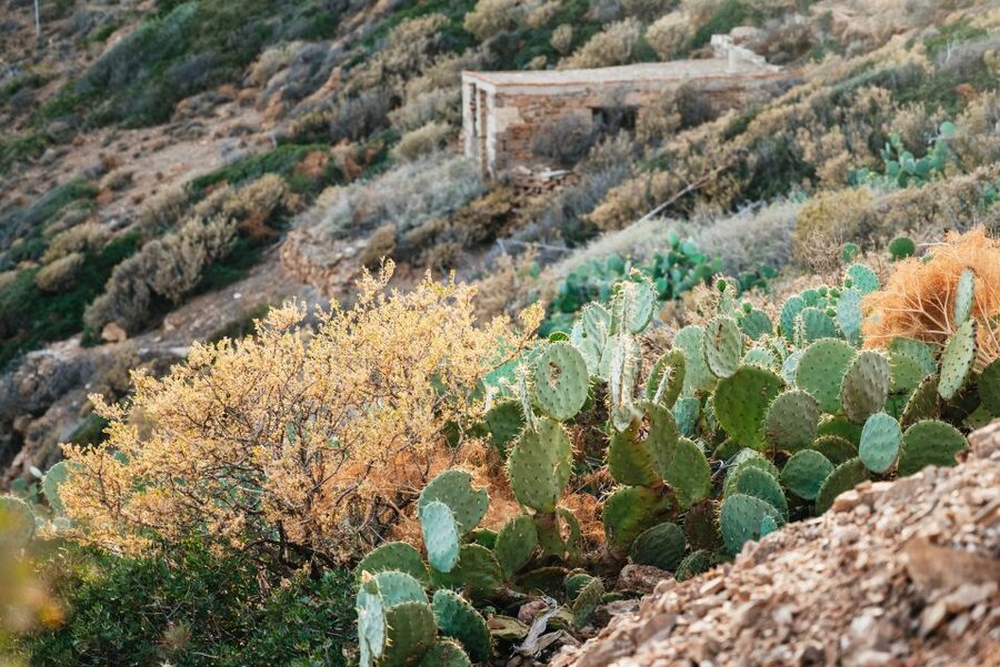 From Athens: Cape Sounion & Temple of Poseidon Half Day Tour - What the $44.60 Price Really Buys