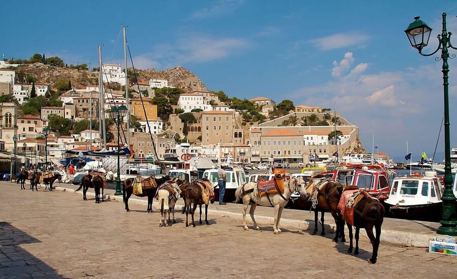 From Athens: Hydra Island Private Day Trip - Food, swimming, and free time