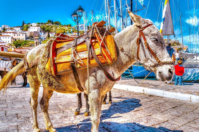 From Athens: Hydra, Poros, and Aegina Day Cruise with Lunch - What this Athens cruise is really like