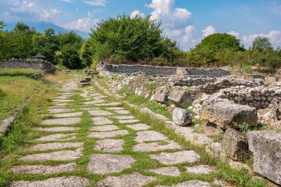 From Athens: Mt. Olympus National Park Guided Day Tour - The return train to Athens