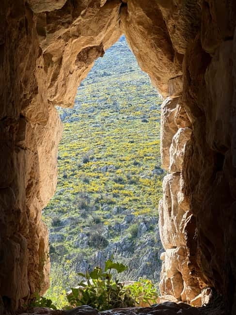From Athens: Mycenae, Epidaurus & Nafplio Full-Day Tour - Epidaurus and its remarkable theater