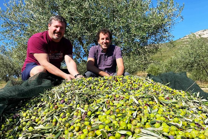 From Athens: Olive Oil Tasting, Olive Grove & Wine Experience - Who will enjoy this olive farm visit?