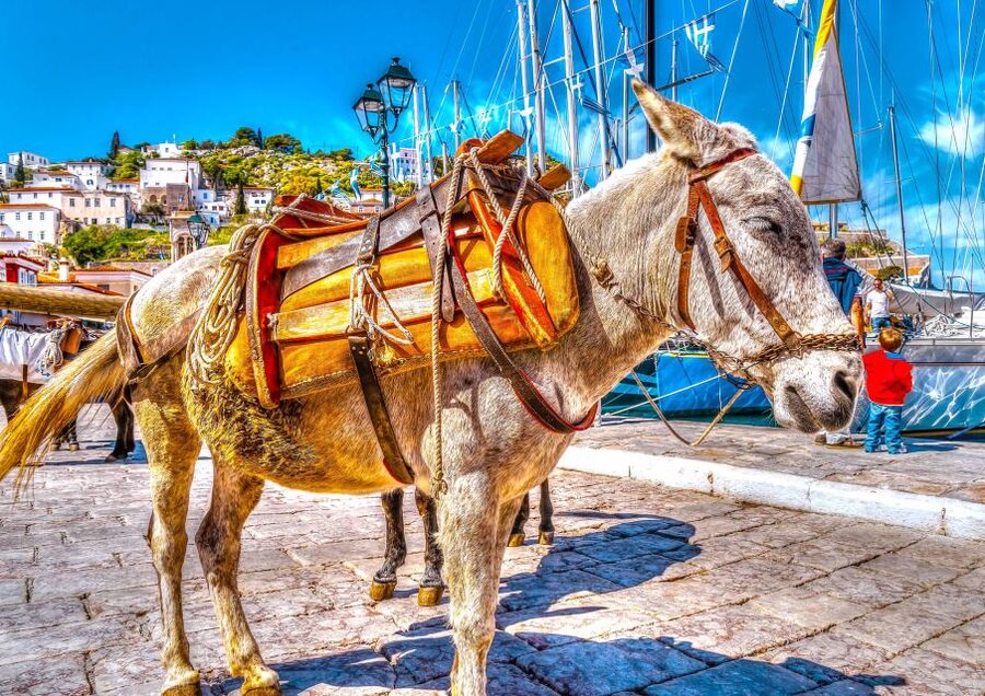 From Athens: Saronic Islands Full-Day Cruise with VIP Seats - Should you book the VIP Saronic Islands cruise?