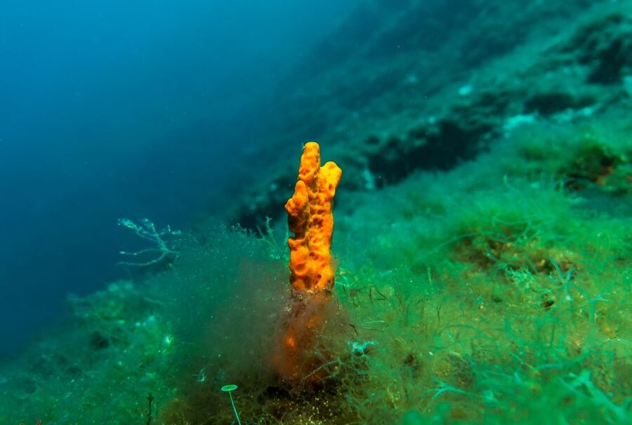 From Athens: Scuba Diving at the Blue Hole - Leaving Athens for Vouliagmeni