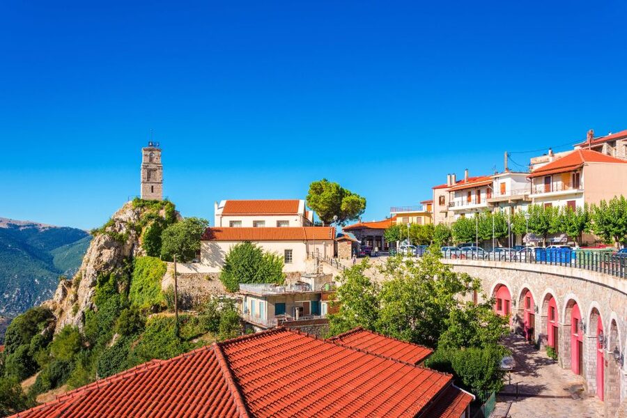 From Athens: Temple of Apollo and Oracle Delphi Day Trip - The guide is a major part of the value