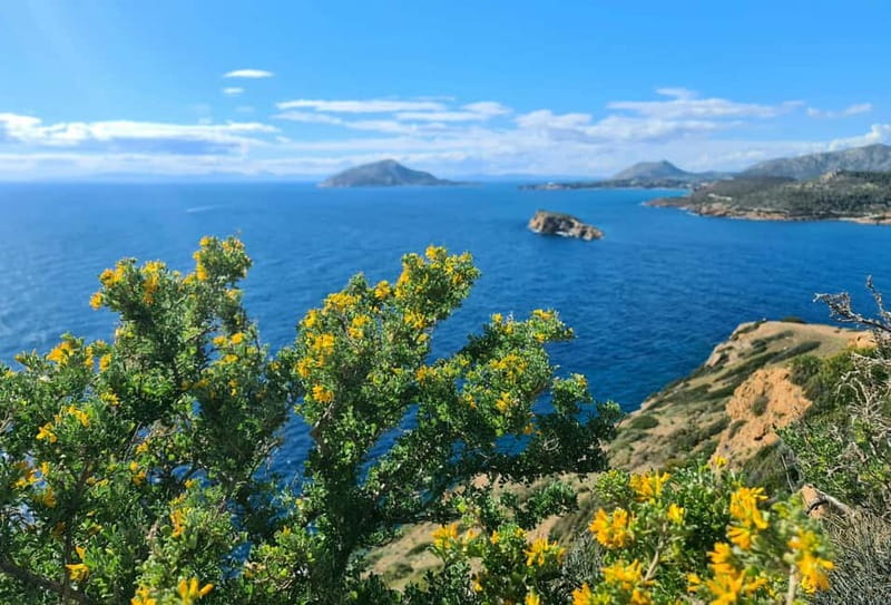 From Athens: Temple of Poseidon & Cape Sounion Half-Day Tour - Why Cape Sounion is worth the ride from Athens