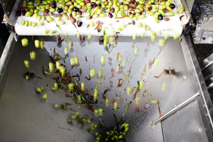 From Athens: Wine, Oil, & Cheese Tasting in Nemea & Argolis - Why this Peloponnese day trip works