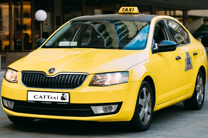 From Piraeus Port to Central Athens - Taxi or minivan: match the vehicle to your bags