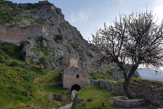 Full day tour Ancient Corinth with wine or olive oil tasting - What the eight-hour schedule feels like