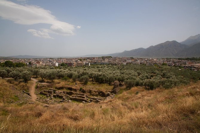 Full Day Tour to Ancient Sparta, Kaiadas, Mystras, Including Meal - A Greek meal back in Athens