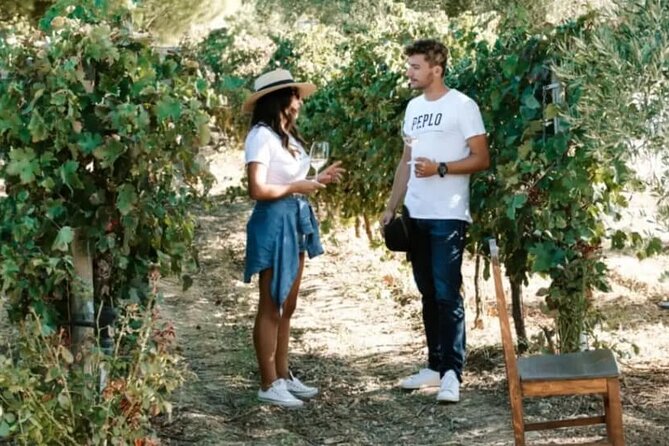Greece Wine Roads: Athens, Nemea and Santorini - Three Santorini wineries and four wines at each