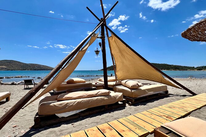 Greek Wine Tour with a Sommelier & Beach Day - Athenian Riviera - Who Will Like This Day Most?