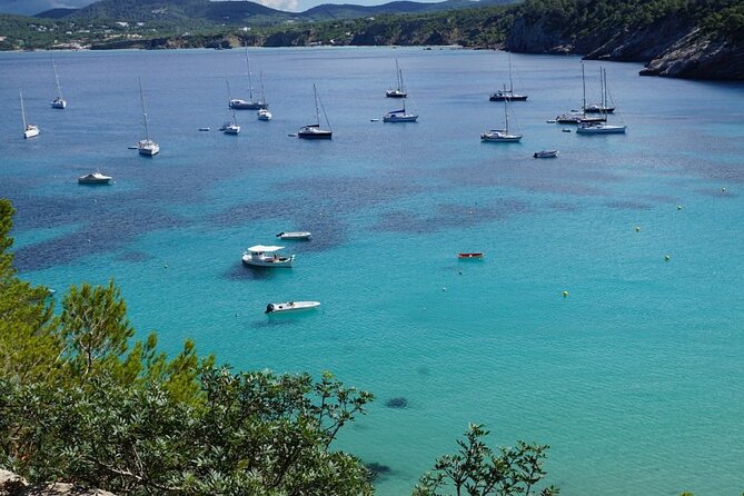Half-Day Private Swimming Cruise along the Athenian Riviera - Snacks, drinks, and what to bring