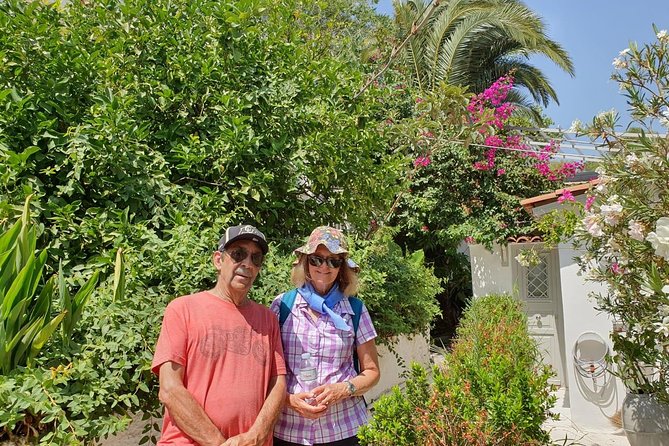 Hills Of Athens Walking Tour - Temple of Olympian Zeus and Hadrian’s Arch from the street