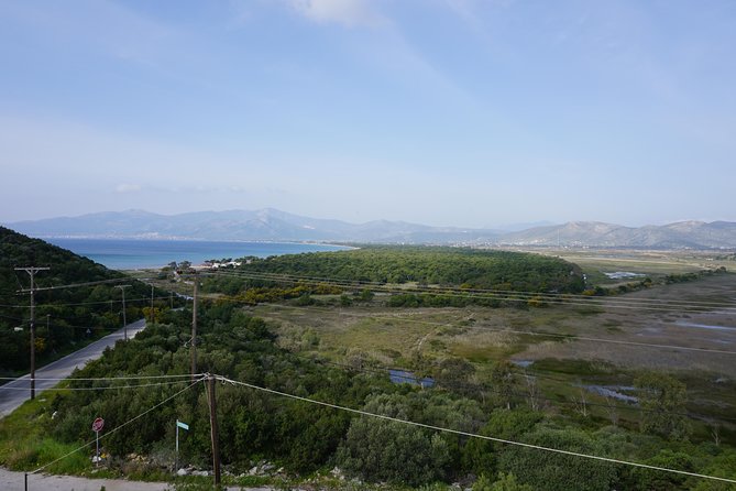 Marathon Battlefield Half Day Private Tour from Athens - What the Archaeological Museum adds