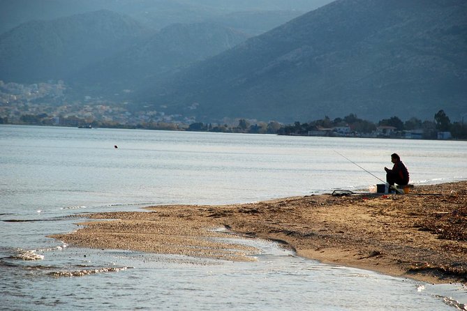 Marathon, Thermopylae, Thebes/Plataea, Herodotus Private Tour 10h - The Archaeological Museum of Marathon