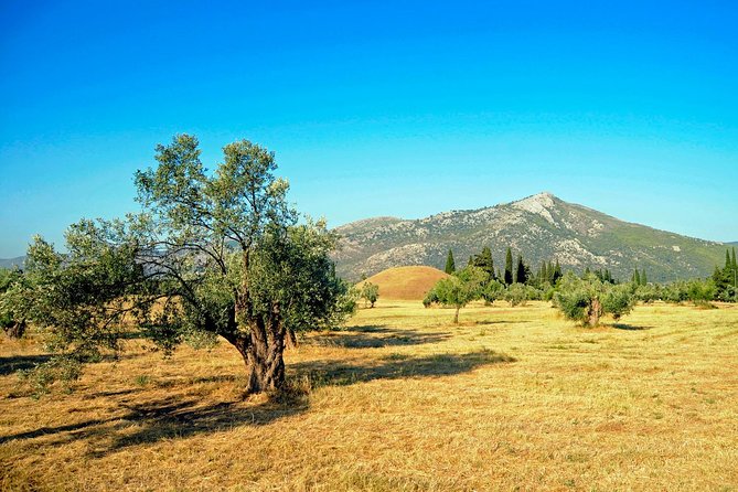 Marathon, Thermopylae, Thebes/Plataea, Herodotus Private Tour 10h - Thermopylae, the Hot Gates of Greek history