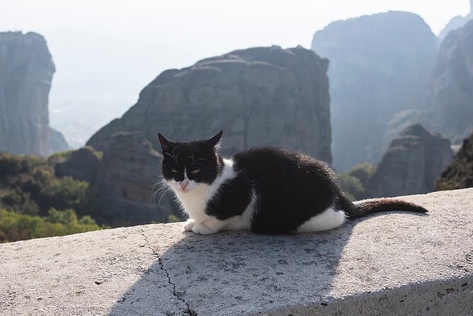 Meteora Full-Day Trip with Guide on Luxury Bus From Athens - What the $111.13 price really covers