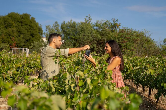 Nemea wine roads, The most famous wine tour in Greece - Leaving Piraeus along the Saronic Gulf