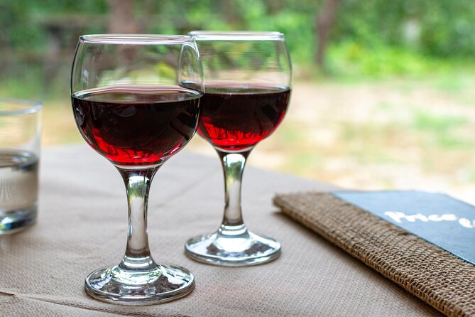Nemea Wine Tasting & Nafplio Full-Day Private Tour from Athens - Palamidi Fortress brings the big views
