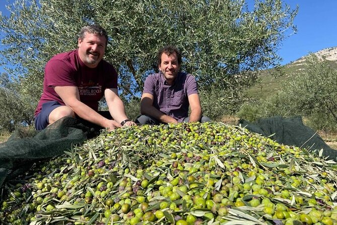 Olive Oil Tour & Tasting with sommelier -Kalentzi, Athens daytrip - Is $96.12 a fair price?
