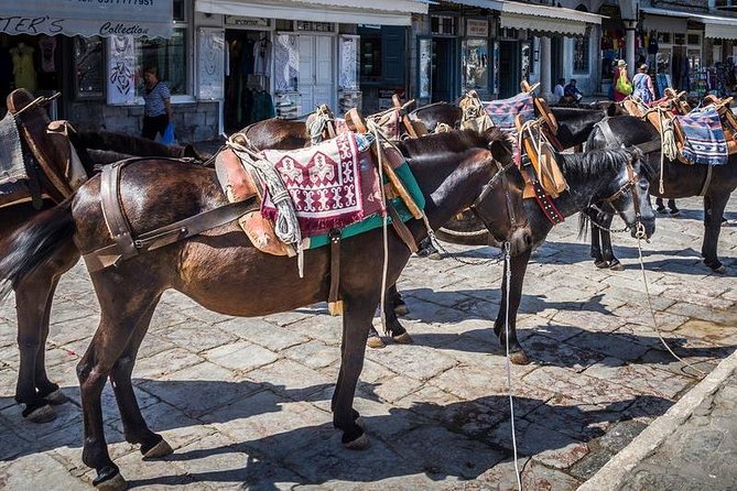 One Day Cruise to Hydra, Poros and Aegina from Athens - Hydra: stone lanes and a car-free port