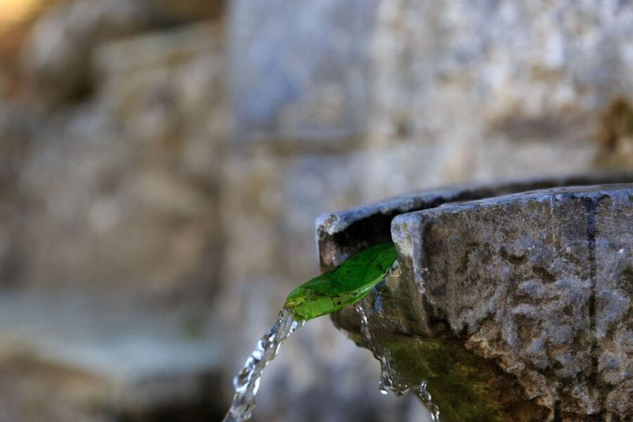 Parnitha (Parnis) / Skipiza & Mola loop - Hike near Athens - Pickup from Syntagma Square or Kifissia