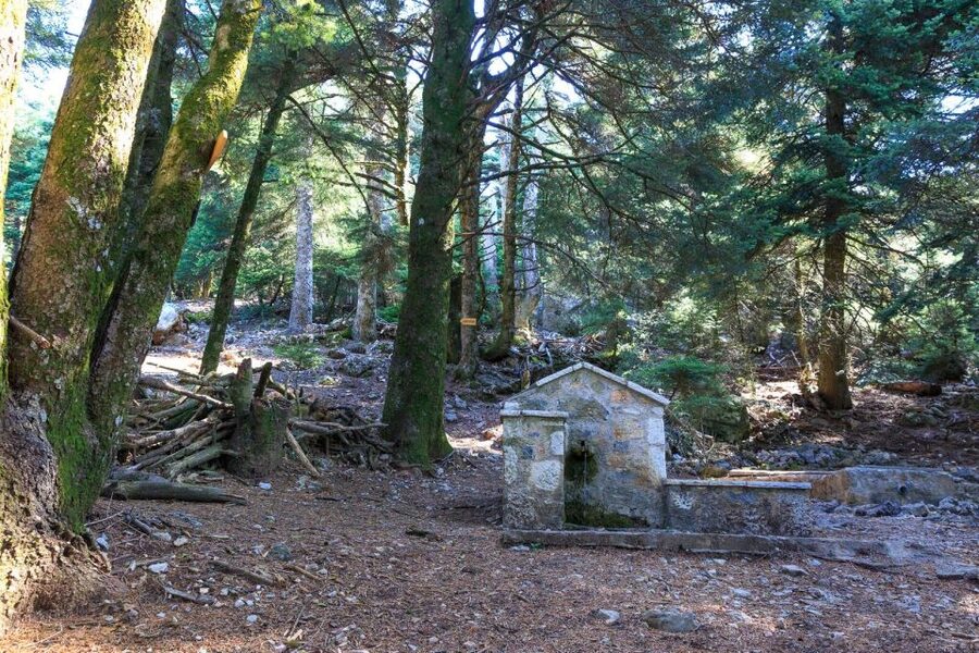 Parnitha (Parnis) / Skipiza & Mola loop - Hike near Athens - The Skipiza well and its plane trees