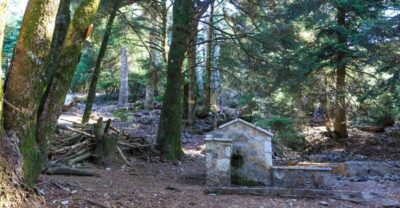 Parnitha (Parnis) / Skipiza & Mola loop – Hike near Athens