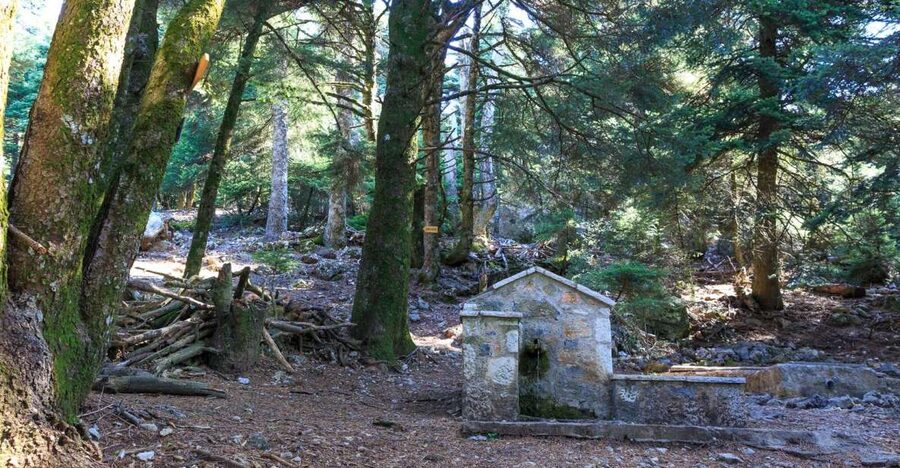 Parnitha (Parnis) / Skipiza & Mola loop - Hike near Athens - Starting at Mpafi refuge