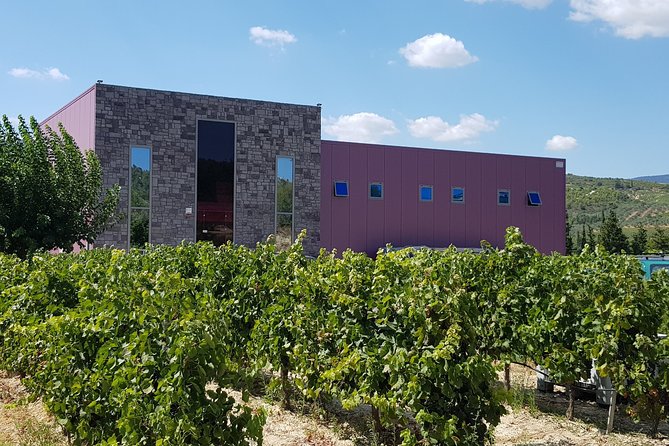 Premium Nemea Wine Tour from Athens, Nafplio or Nemea, with Oenologists - Stefano’s role makes a difference