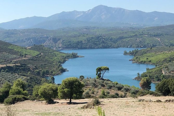 Private 4x4 Wine Tour from Athens to Marathon Lake and a Winery - Leaving Athens for Marathon Lake