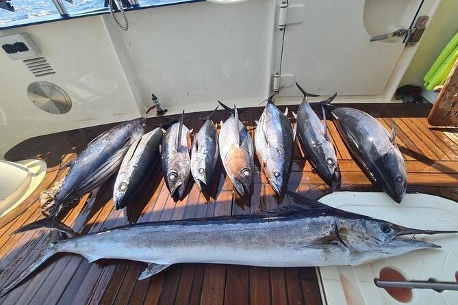 Private Boat and Fishing Tours in Greek Islands - What the private format means for your group