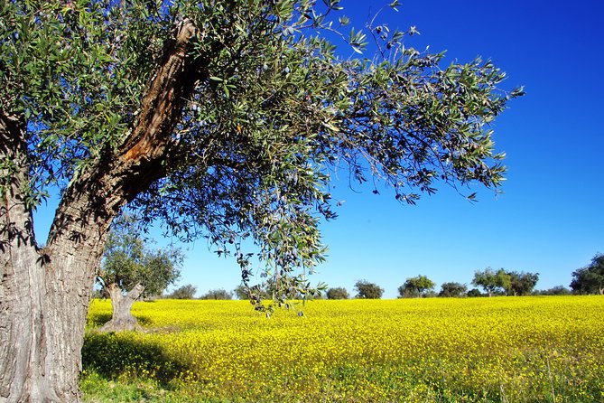 Private Day Trip to Canal,Ancient Corinth,Myceane and Nauplion - Is $299.38 per person good value?