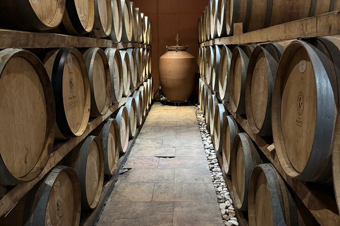 Private Daytrip for Truffle Mushroom Foraging and Wine Tasting - Who will enjoy this day most