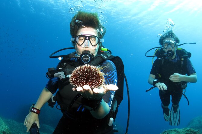 Private Discover Scuba Diving for Beginners in Athens with Pickup - Weather, health, and cancellation flexibility