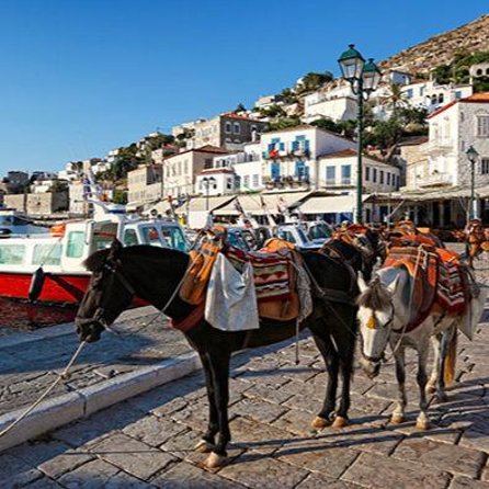 Private Excursion to Hydra Island - Eating, shopping, and choosing your pace