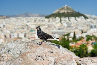 Private Luxury Biblical Tour: Apostle Paul in Athens & Corinth