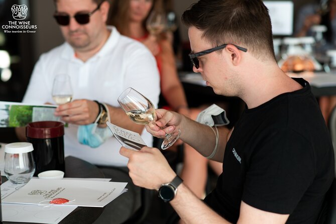 Private Luxury wine tour in Ancient Nemea and vineyards. - Why Nemea makes a good wine day from Athens